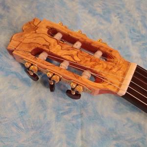 Sor op. 35 no. 17